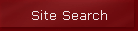 Site Search
